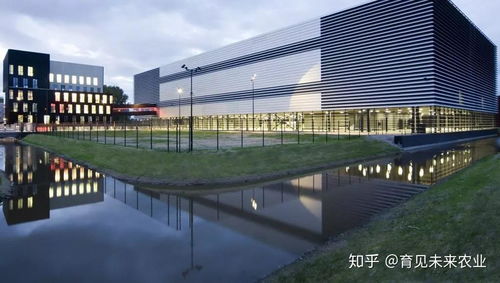 荷蘭緣何成為“新硅谷”與文化藝術交流的全球樞紐